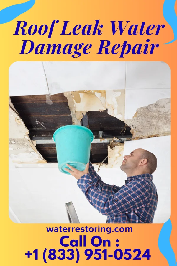 Roof Leak Water Damage Repair in Finley Point, MT